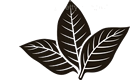 clients-logo