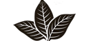 clients-logo