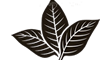 clients-logo